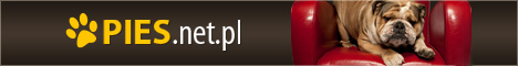 Zdjęcia psów - pies.net.pl